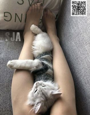欧美嘿咻_4K在线观看电视