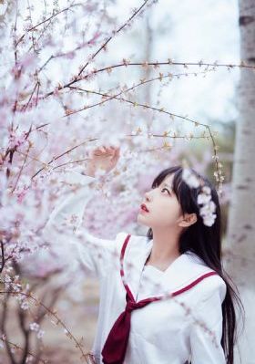 果冻传媒免费观看高清在线_蓝光手机在线看